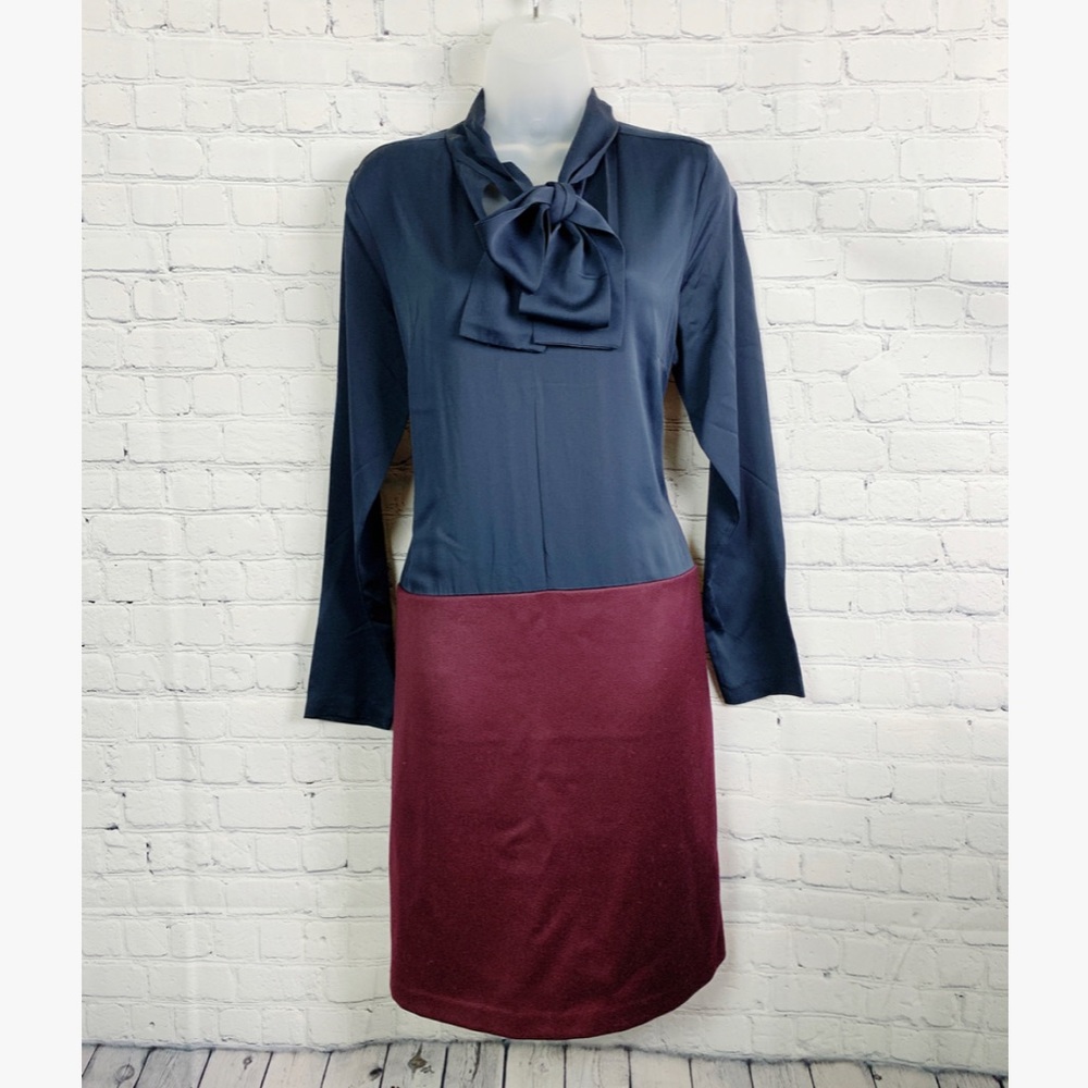 🛍 NWT Raoul Dress - Silk Top